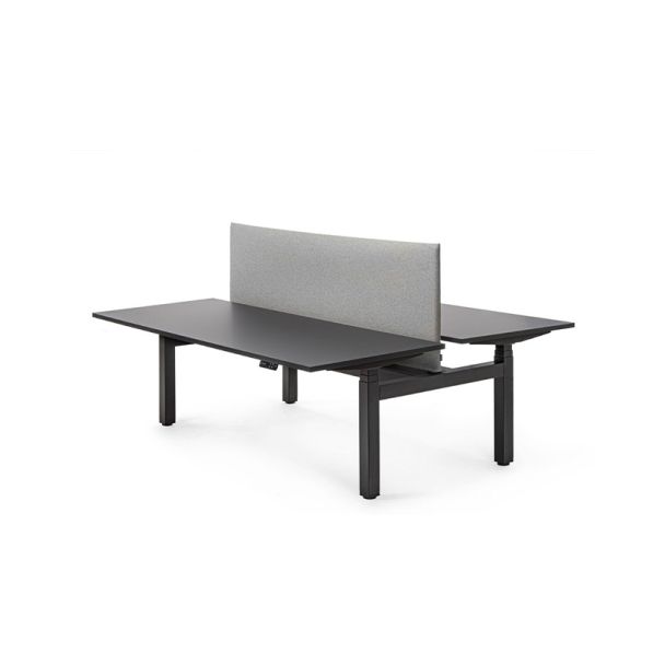 Flex duodesk (elektrisch verstelbaar)