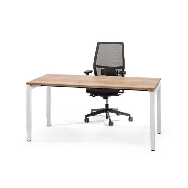 Prolijn bureau (hoogte instelbaar)