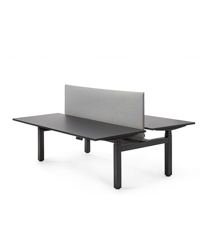 Flex duodesk (elektrisch verstelbaar)