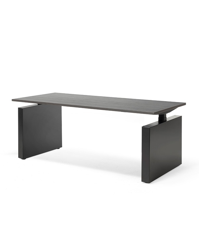 Flex zit/sta bureau met 2 wangpoten (elektrisch verstelbaar)