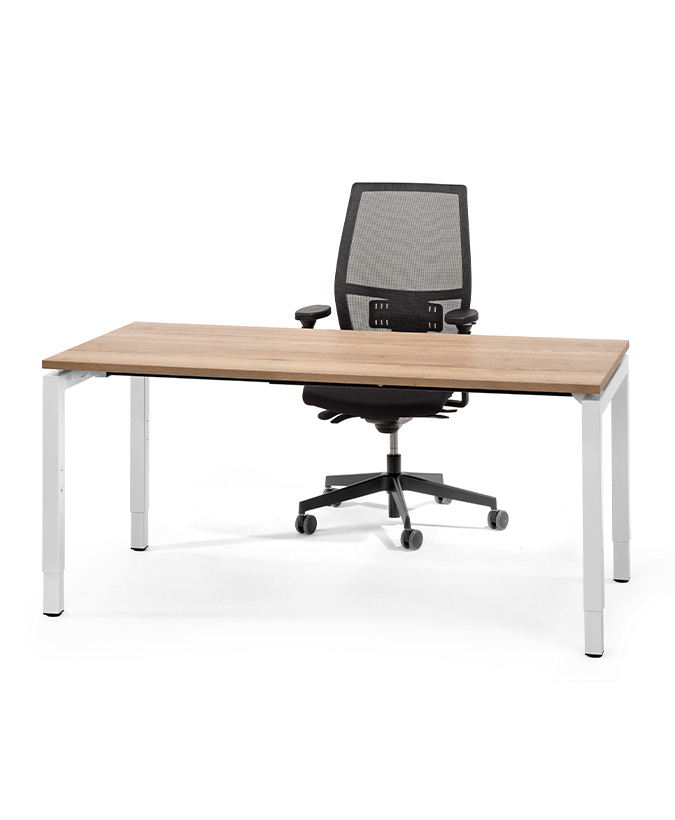 Prolijn bureau (hoogte instelbaar)